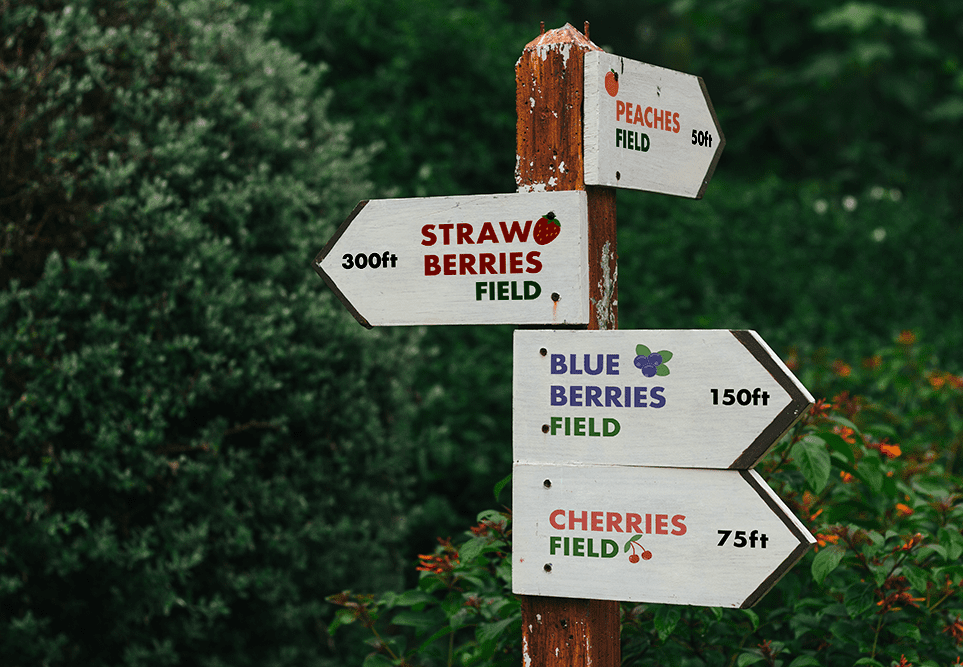 highland orchards rebrand signage pointing to fields