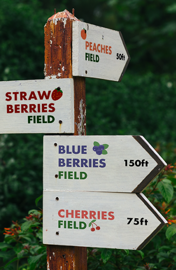 highland orchards fruits garden signage